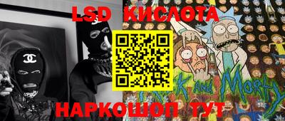 гидропоника Дубна