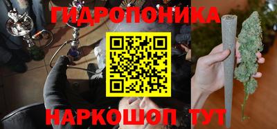 гидропоника Дубна
