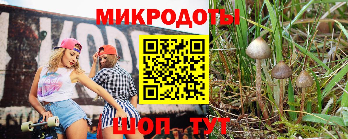 где найти наркотики  Псилоцибиновые грибы MAGIC MUSHROOMS  Вход с VPN  Кунгур 